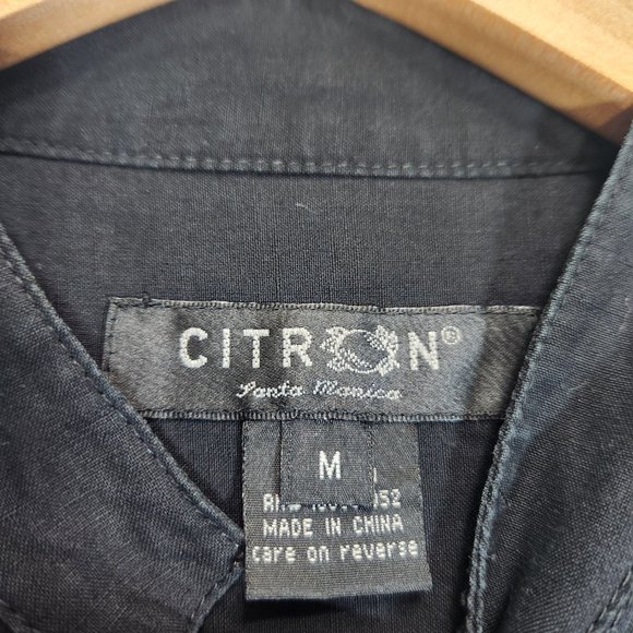 Citron Dragon Silk Linen Tunic Blouse - Picture 7 of 9